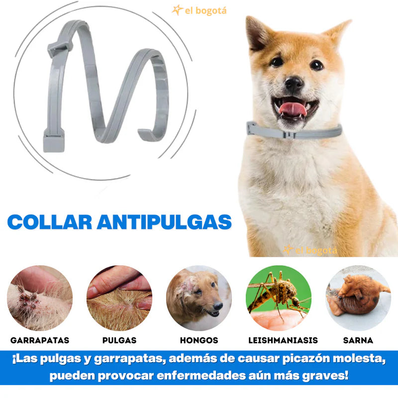 Collar Anti Pulgas para Mascotas