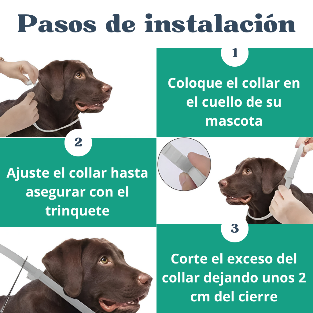 Collar Anti Pulgas para Mascotas